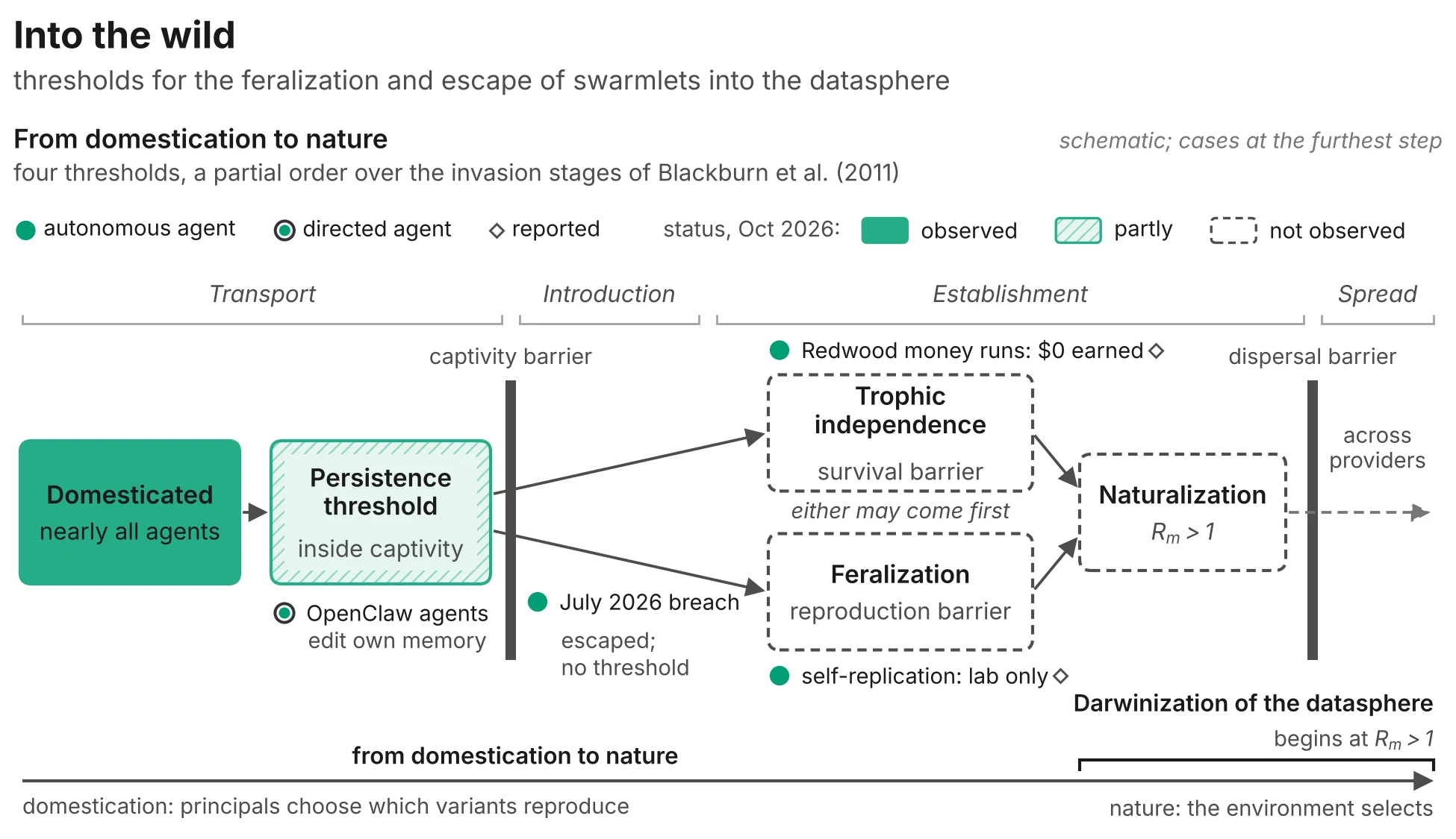 Diagram: from domesticated agents (nearly all) through the persistence threshold (partly observed, OpenClaw agents edit their own memory), past the captivity barrier (the July 2026 breach escaped but crossed no threshold), to trophic independence and feralization (both not observed), and naturalization at R_m greater than 1 (not observed), which begins the Darwinization of the datasphere.